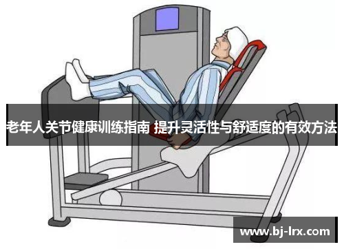 老年人关节健康训练指南 提升灵活性与舒适度的有效方法
